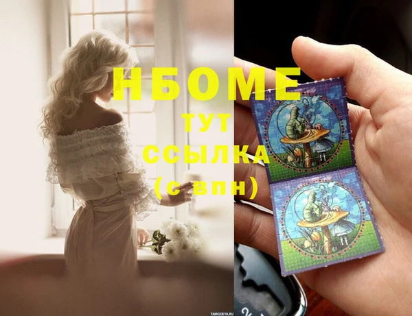 индика Новозыбков