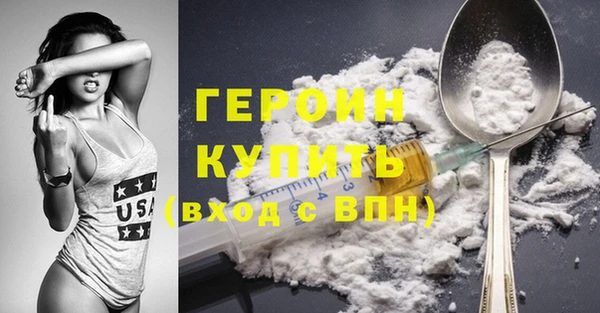 индика Новозыбков
