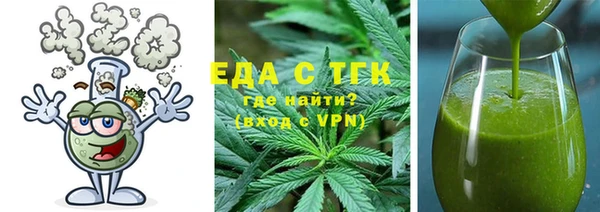 индика Новозыбков